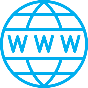 logo dominio web